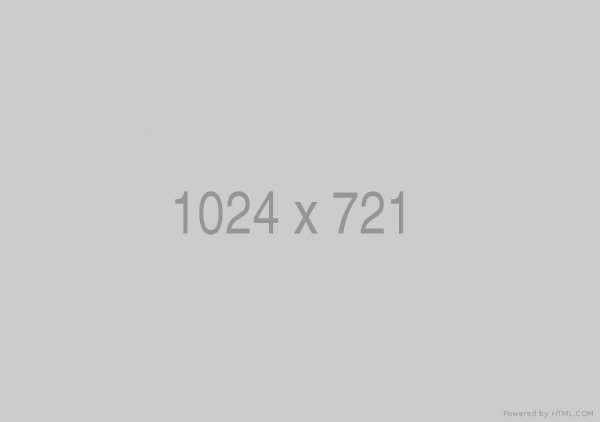 1024x721
